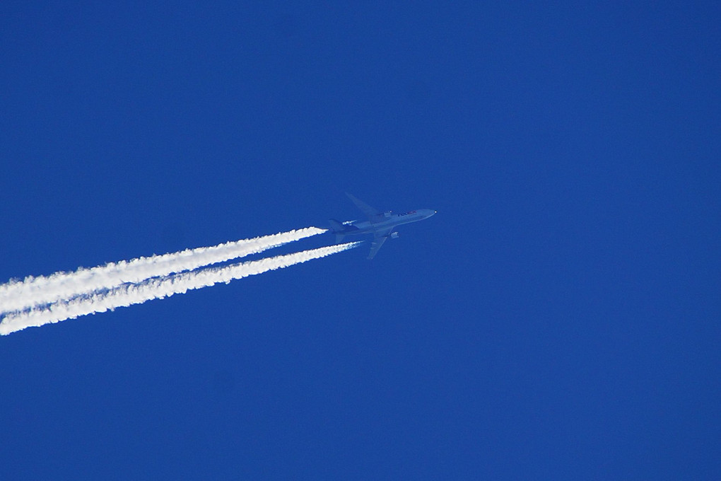 ひこうき雲　Fedex MD-11F