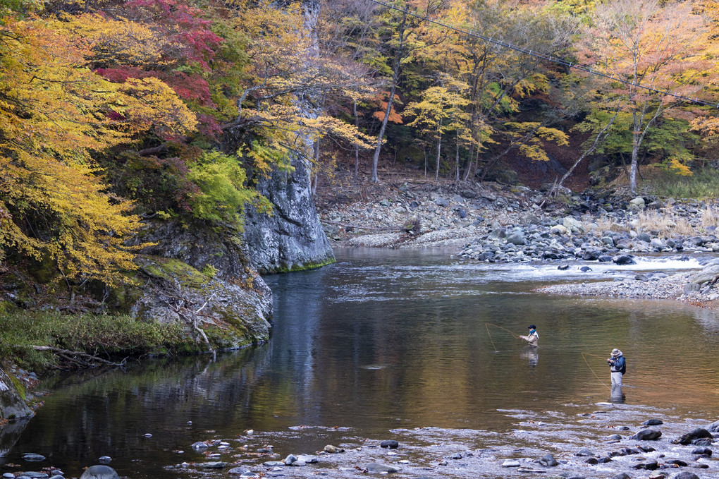 秋の箒川