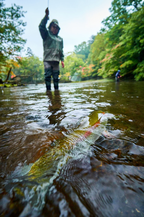 Master of Fly Fishing