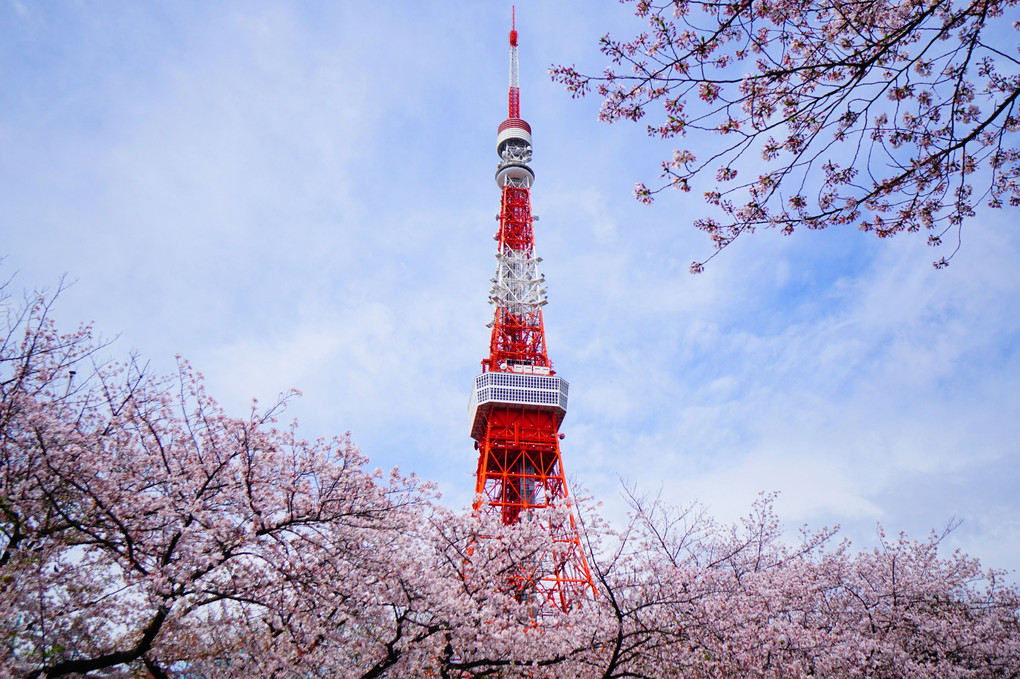 Tokyo Tower