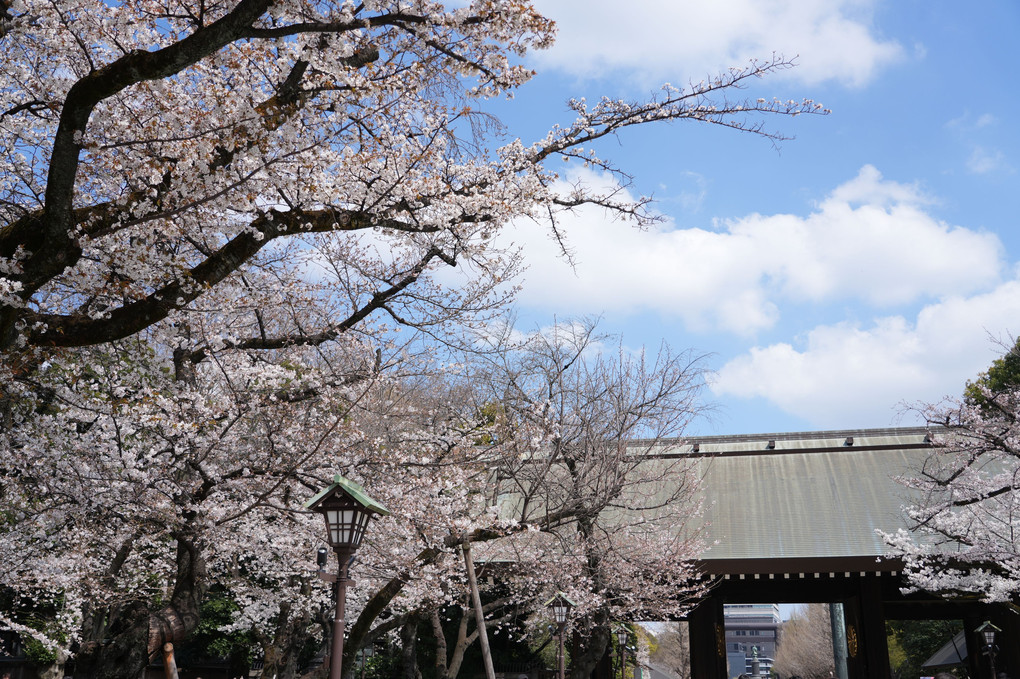 靖国神社