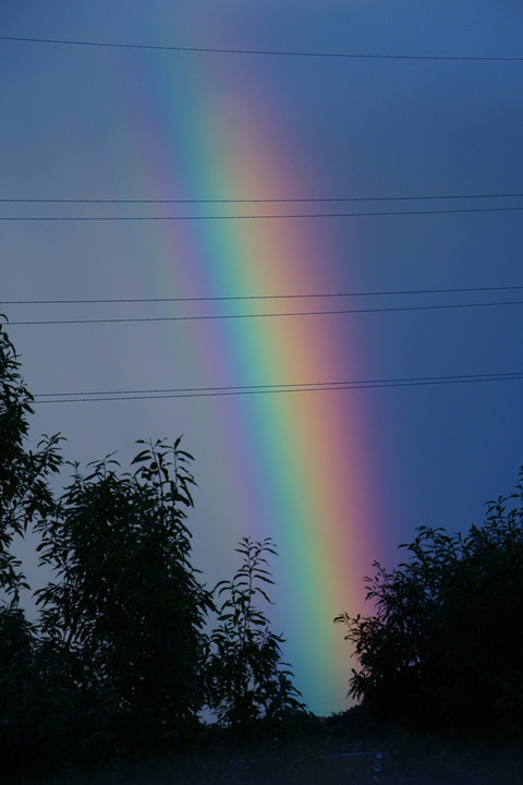 RAINBOW