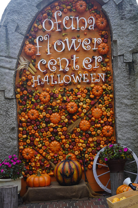 Halloween at flower center