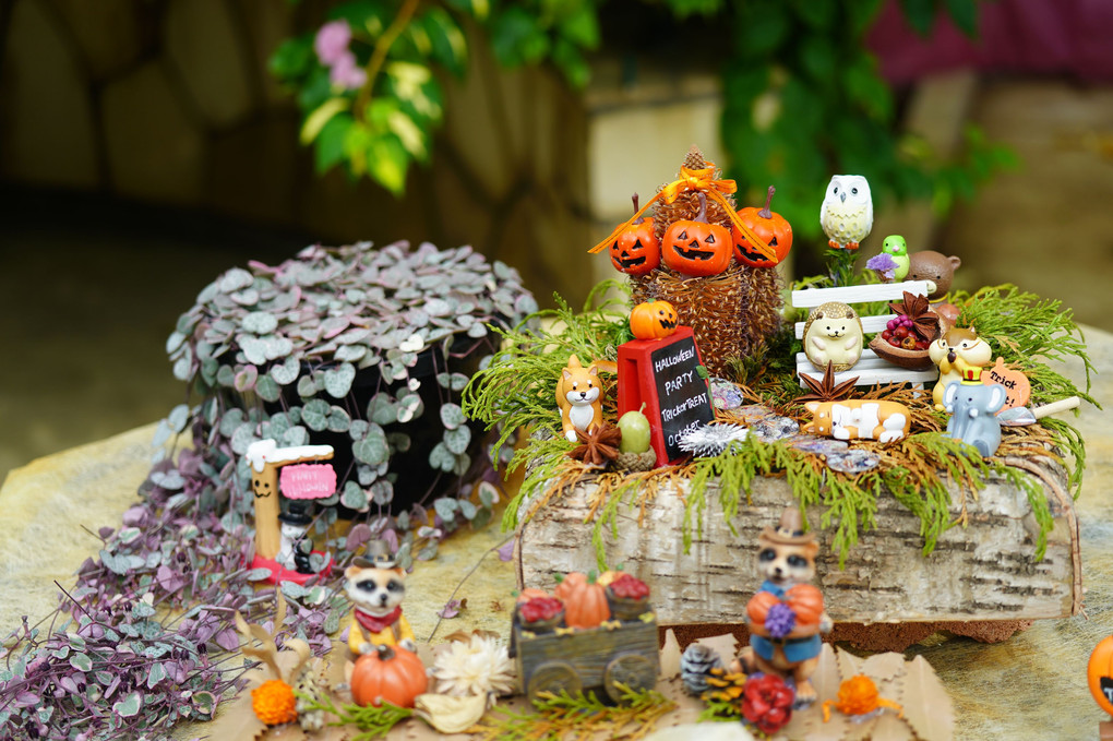 Halloween at flower center