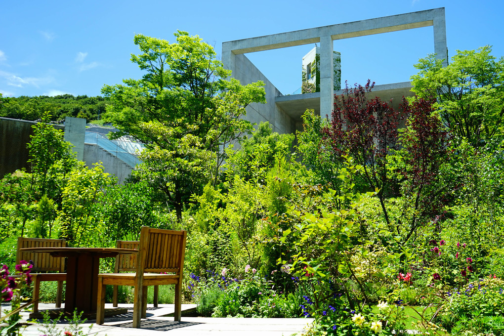 奇跡の星の植物館