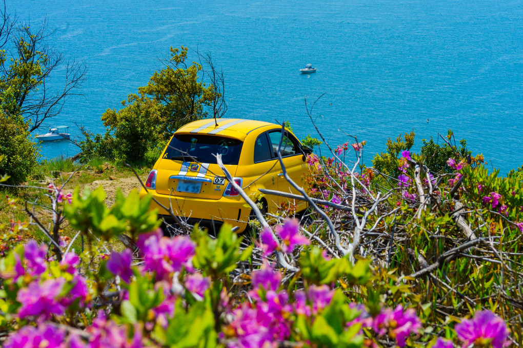 愛車と春の花