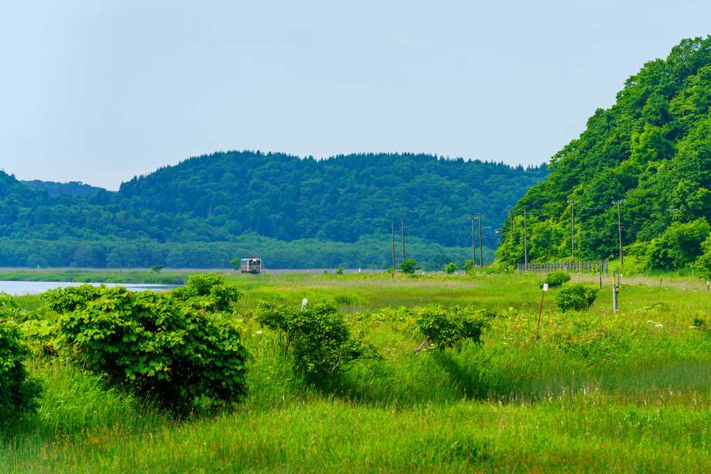 北海道ゆる鉄(根室本線花咲線)