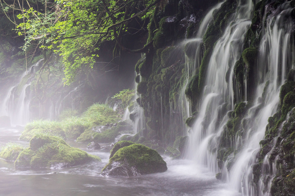 The waterfall which fog hangs over