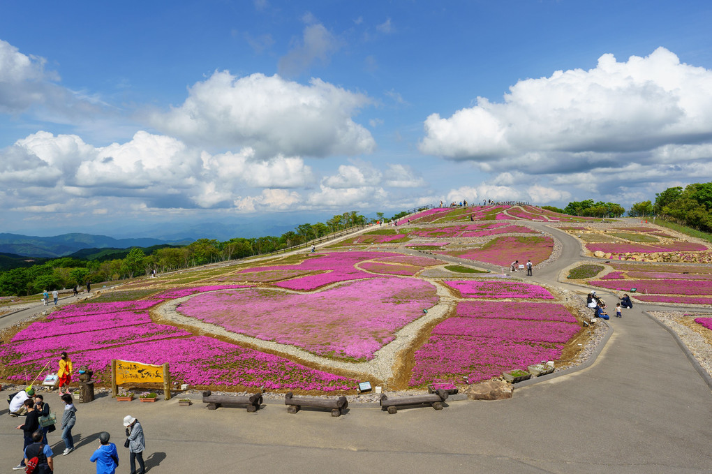 茶臼山高原