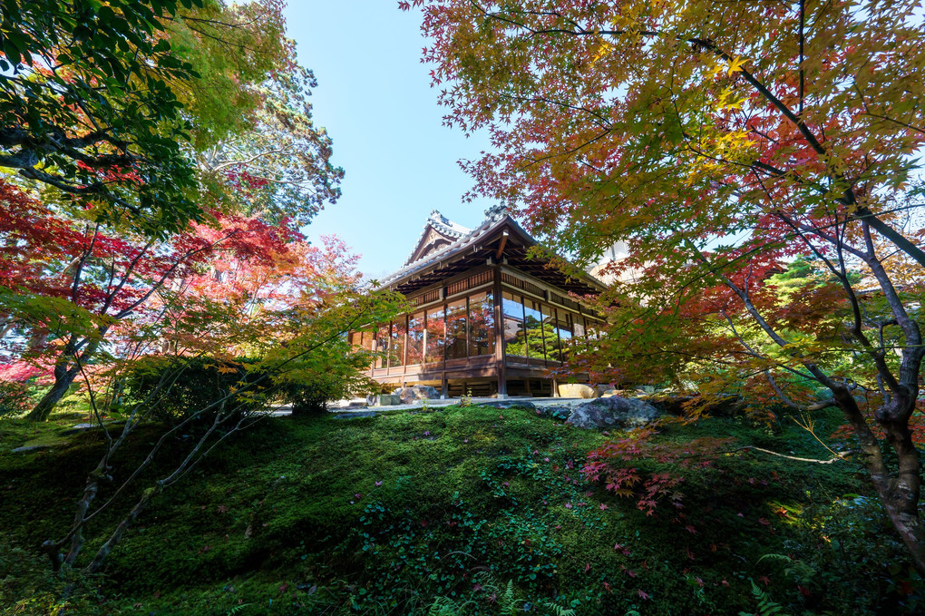 禅林寺（永観堂）