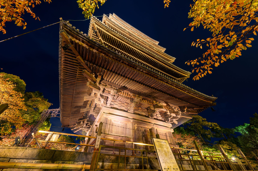 東寺　紅葉ライトアップ2020