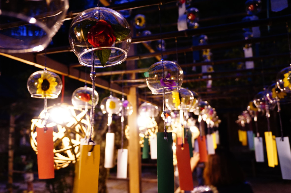 風鈴祭り（正壽院）