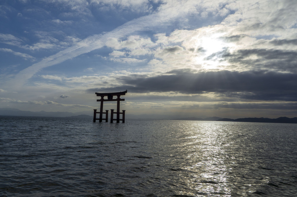 今年も行ってきました～１