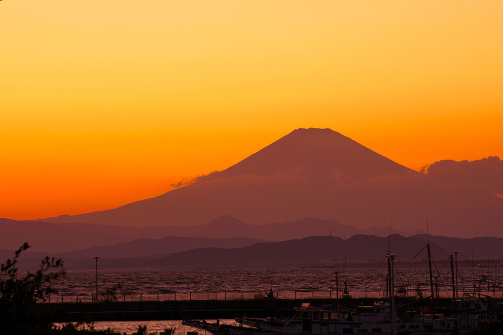 富士 ~江ノ島より