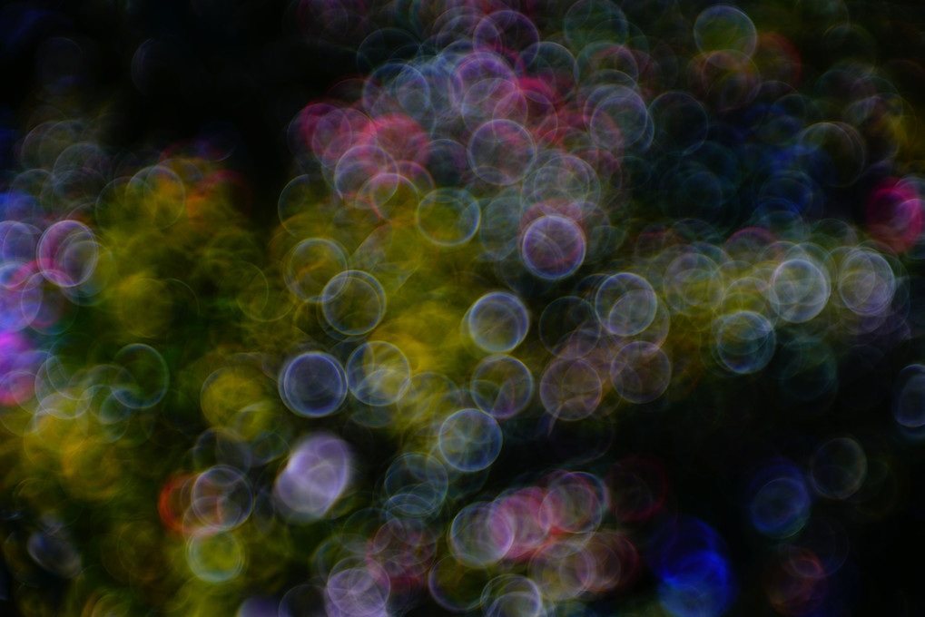 blurred picture