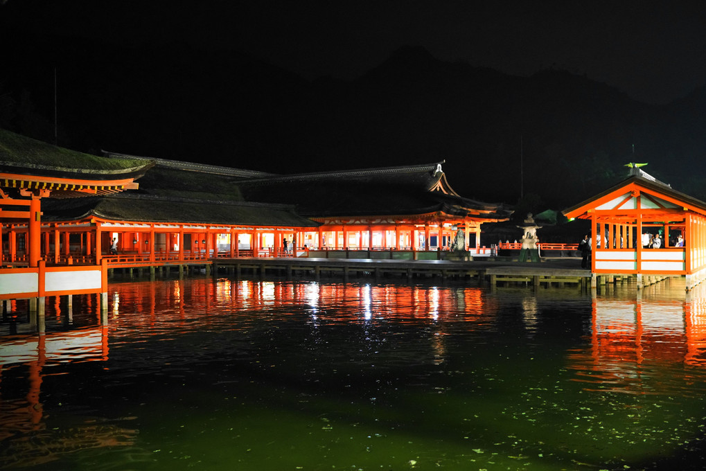 宮島 厳島神社の夜景　