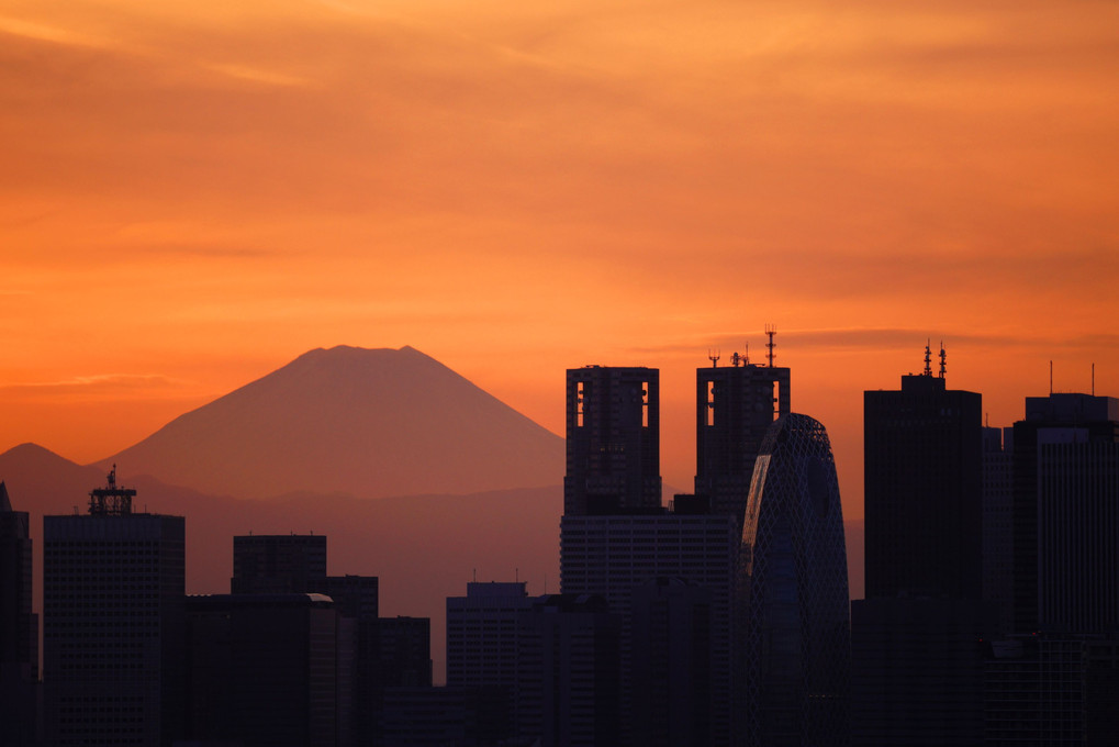 文京シビックセンターから見る富士山