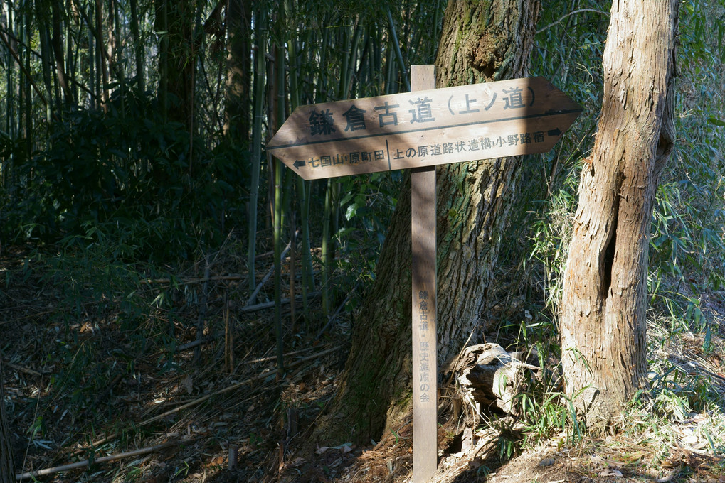 春を待つ小野路