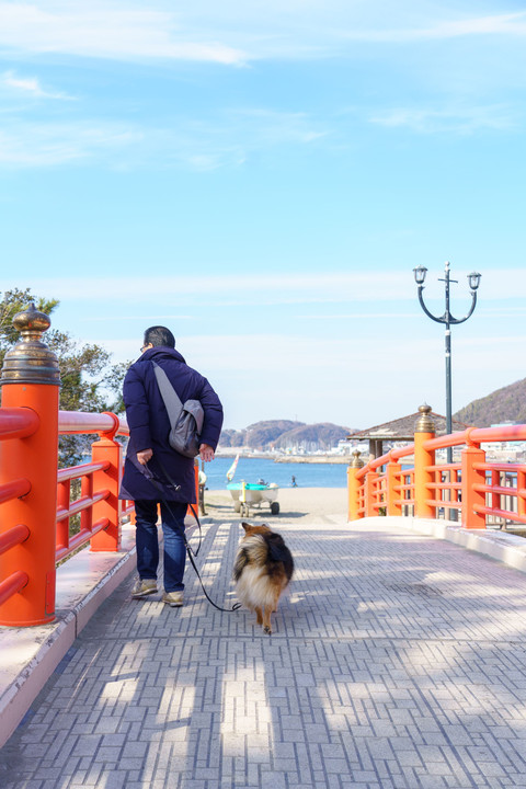 春は海からやって来る