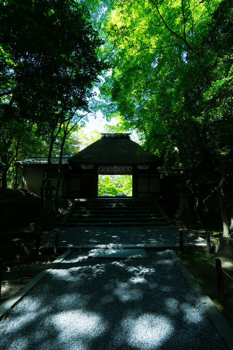 京都庭園散歩