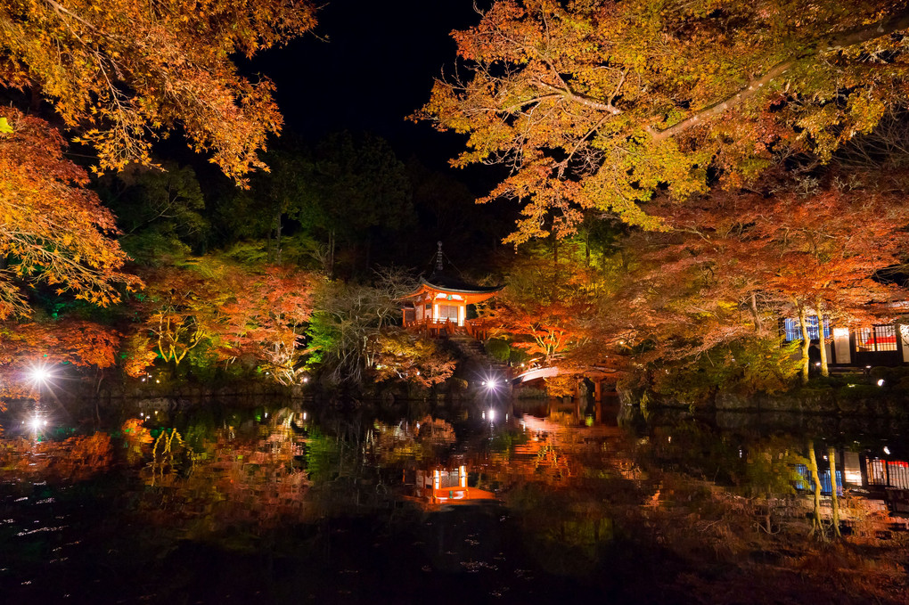 京都もみじ散歩