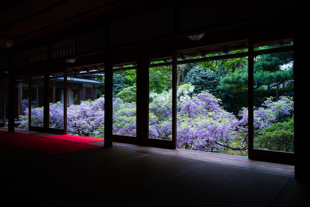 京都庭園散歩