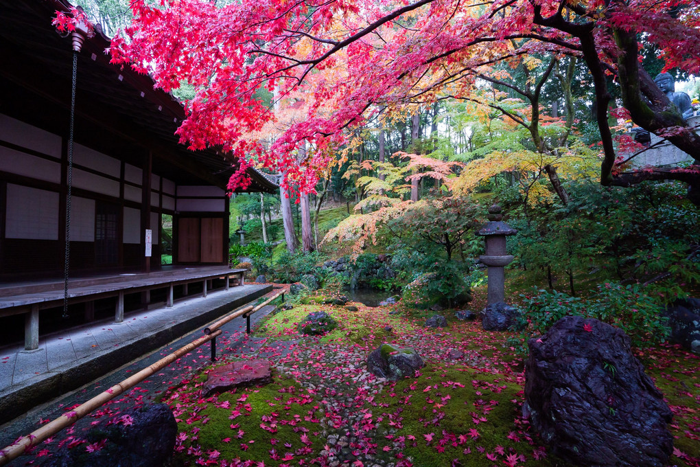 京都もみじ散歩