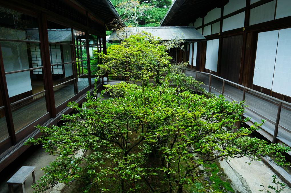 大心院にて