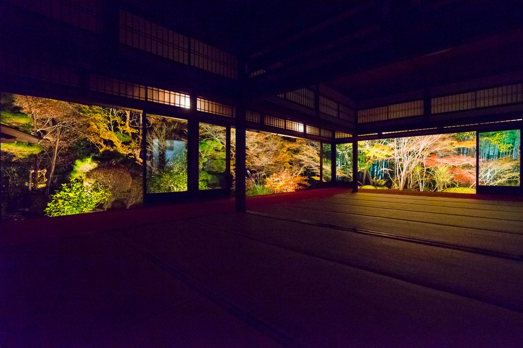 京都もみじ散歩