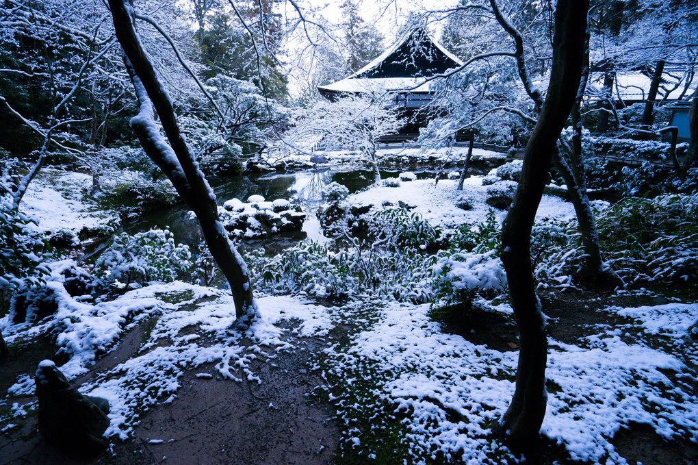 南禅寺雪散歩