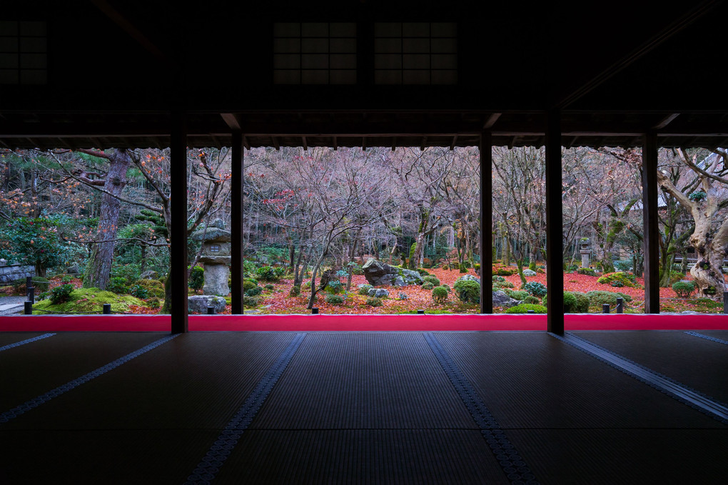 京都紅葉便り