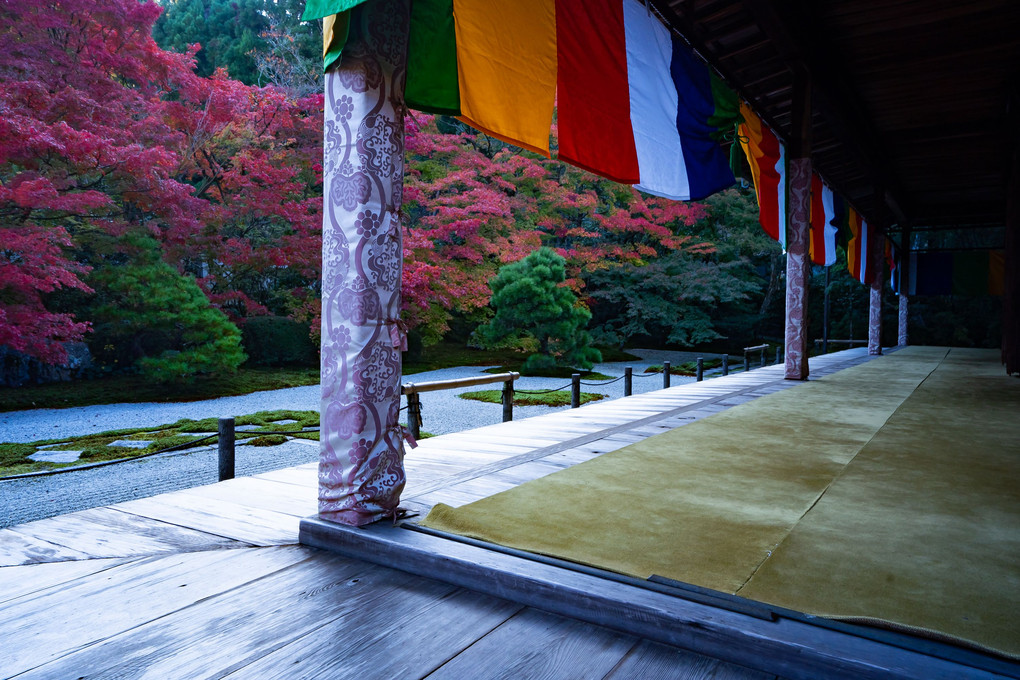 京都もみじ散歩