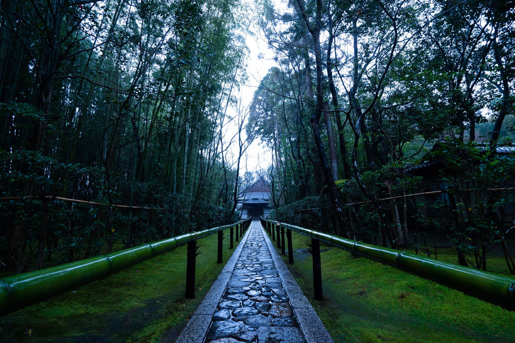 高桐院にて