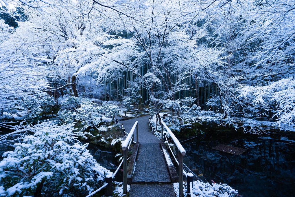 圓光寺にて