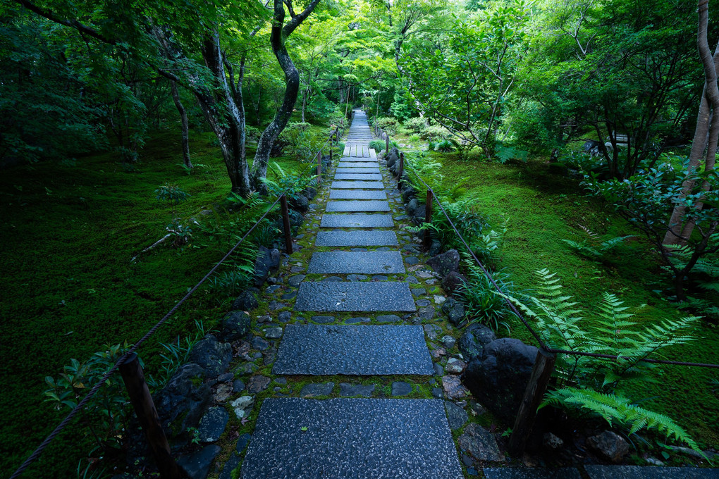 宝筺院にて