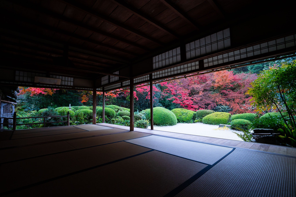 京都もみじ散歩