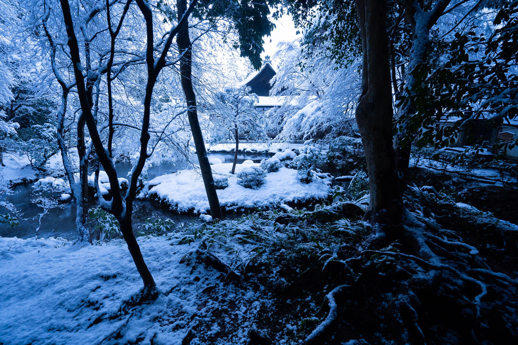 南禅寺雪散歩