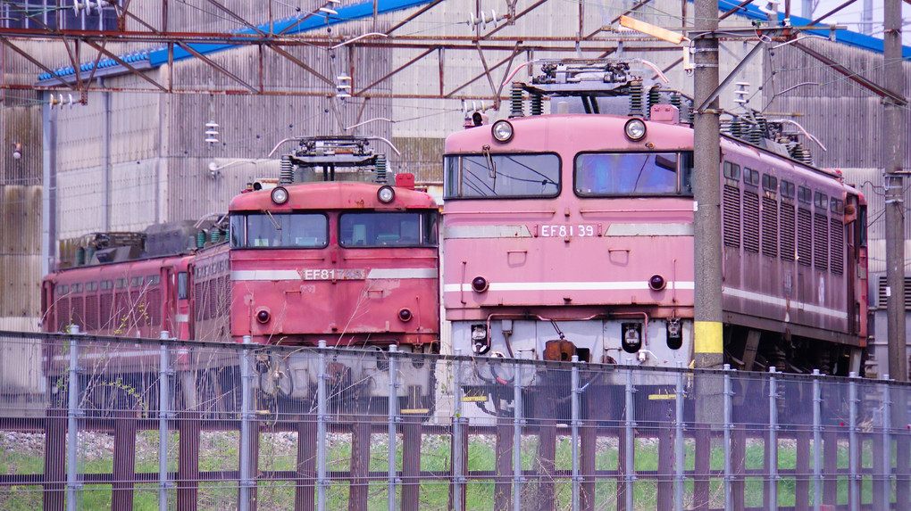 EF510とE81（JR貨物富山貨物機関区にて）