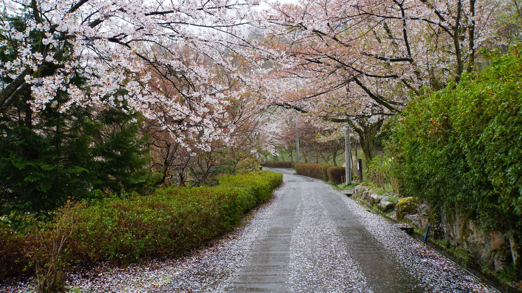 2018年4月の締めに