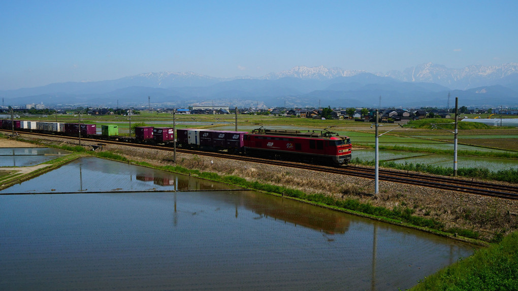 レッドサンダー富山を行く