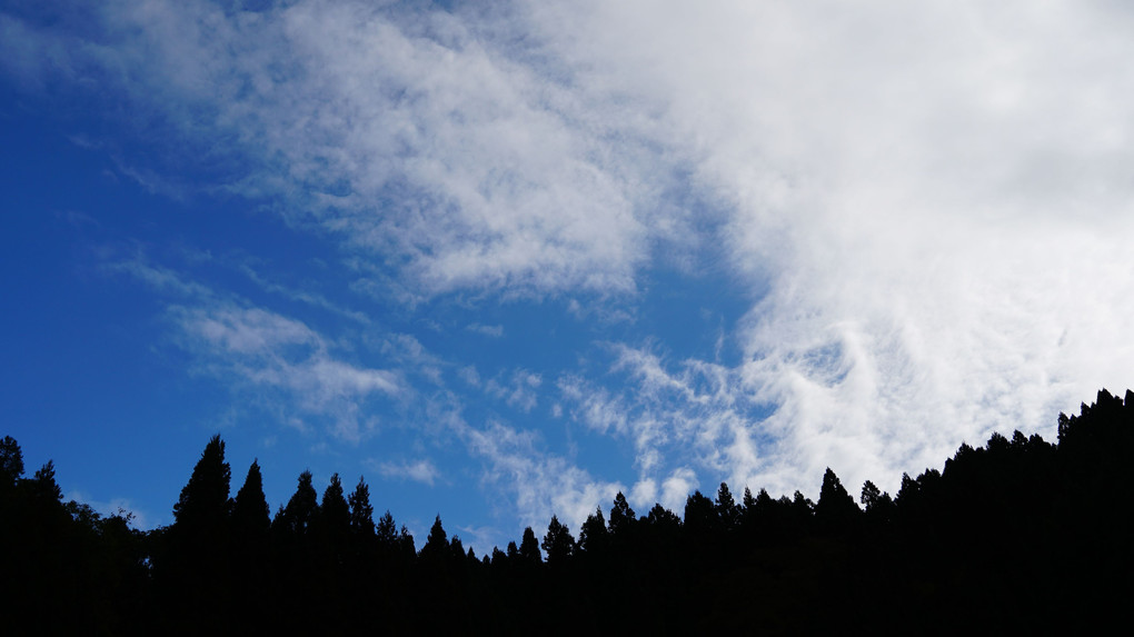 憂鬱な秋空