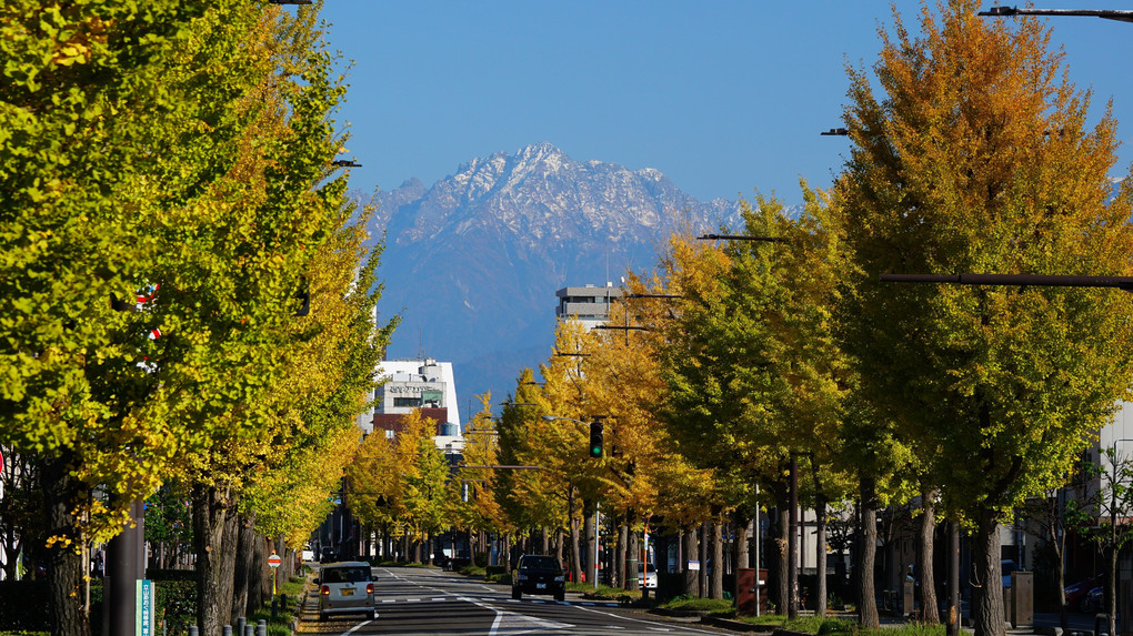 富山市街の秋