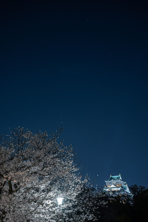 大阪城、夜桜と煌めき