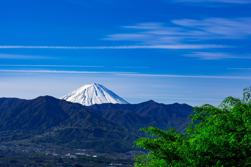 新緑と残雪の富士山