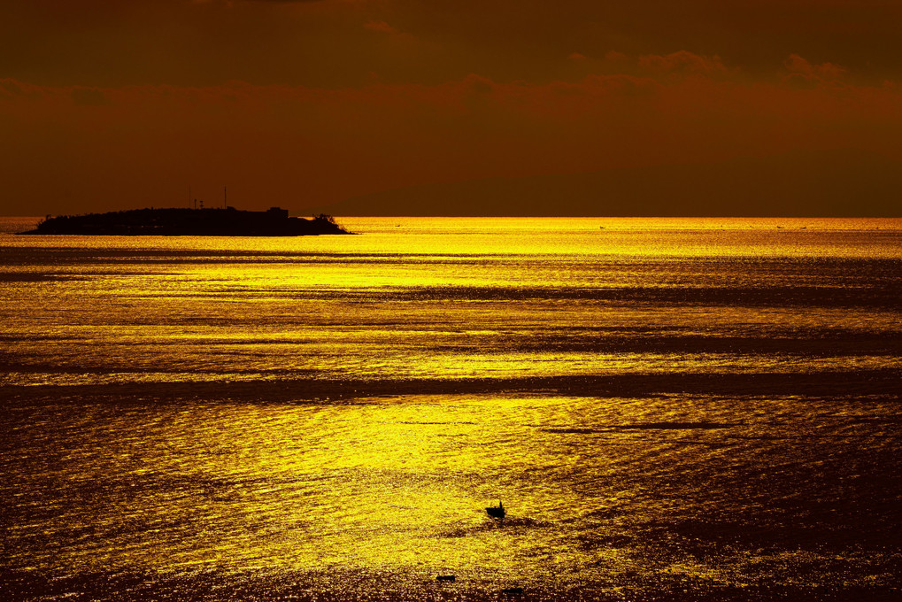 黄金の海