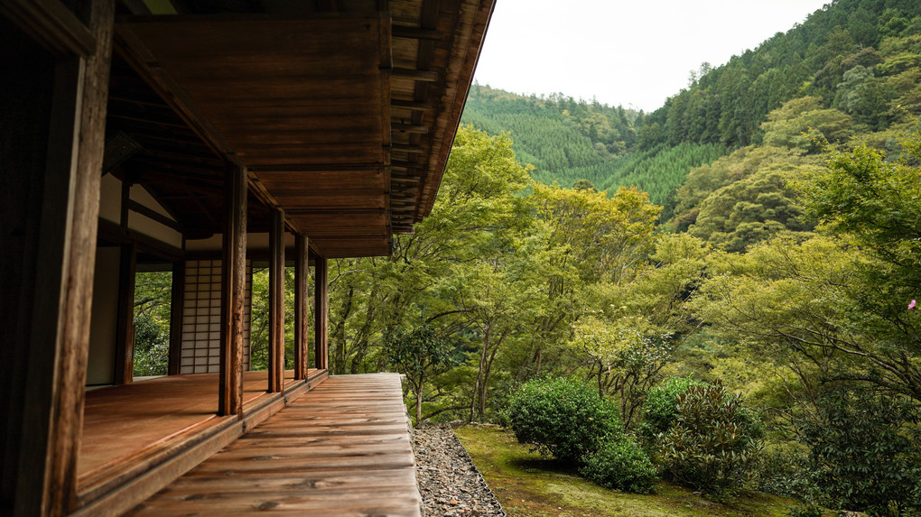 京都栂尾高山寺