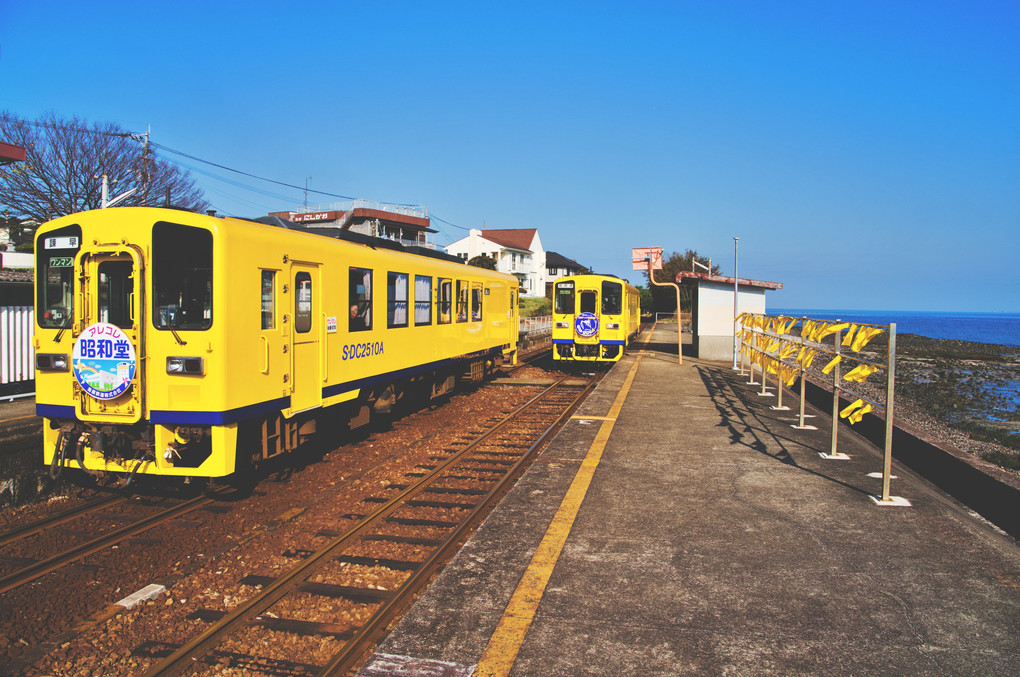 幸せの黄色い列車とハンカチ