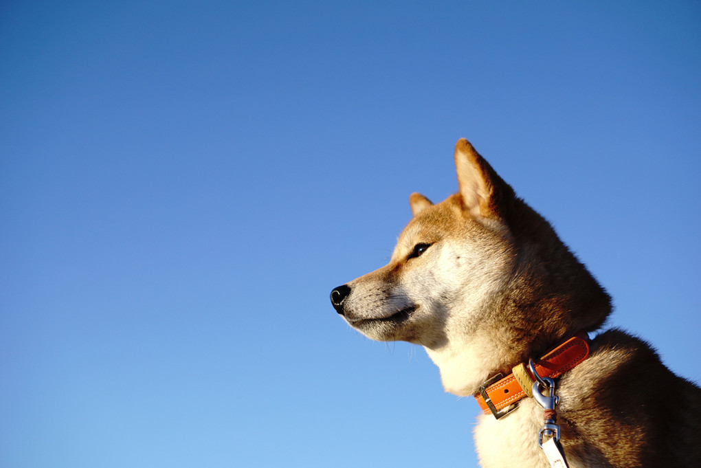 青空