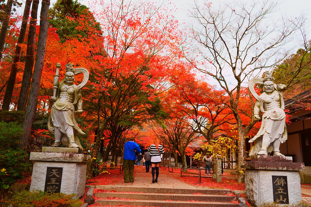 呑山観音寺の紅葉