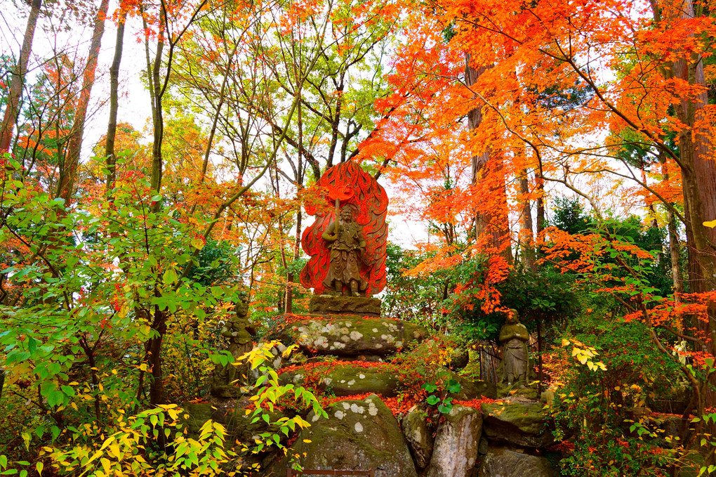 呑山観音寺の紅葉